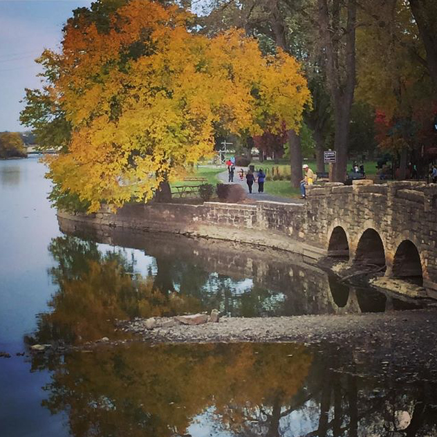 Fall Colors - @aocarolyn